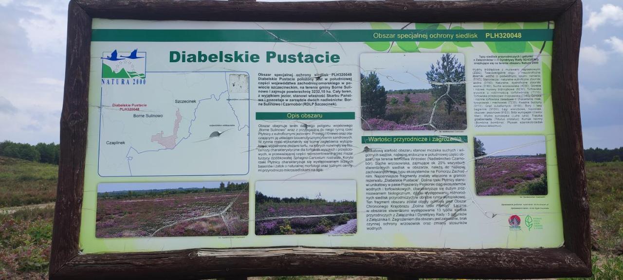 Przytulne Mieszkanie * Borne Sulinowo